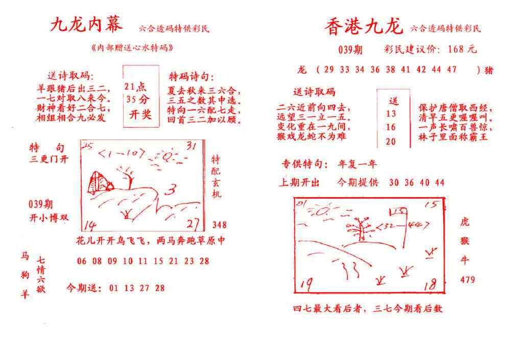 039期九龙内幕[图]